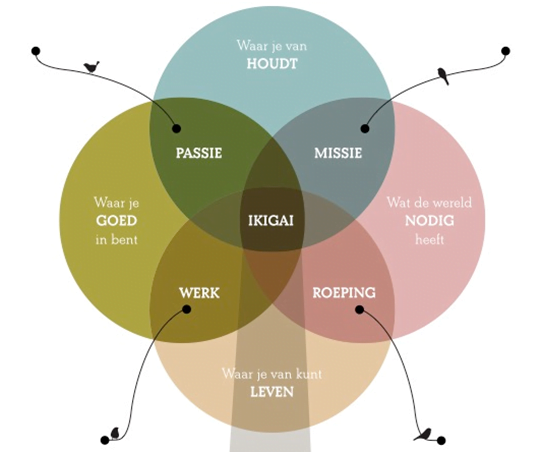 Ikigai 543 x 454 Ikigai 543 x 454